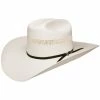 Resistol Hats 10X USTRC Big Money By Resistol Straw Hats