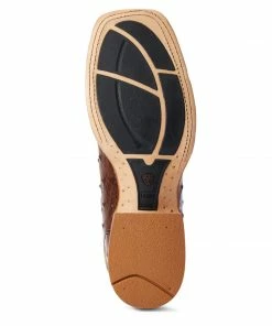 Men's Ariat Gallup Mocha Full Quill Ostrich Boot Exotic Boots 6 Men's Ariat Gallup Mocha Full Quill Ostrich Boot Exotic Boots