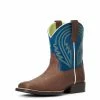 Kids Ariat Lil Hoss Chocolate/Navy Boot Kids Boots